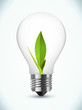 bulb ecology concept bulb ecology concept