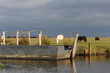 Parc Régional de Brière
