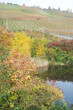 Weinberg Weiher