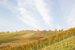 Ende der Weinlese