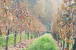 herbstlich
