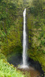 Akaka Falls Hawaii