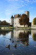 Château de Nemours