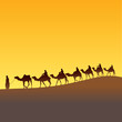 Sahara scenic and caravan