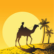 Sahara desert