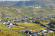 Pünderich an der Mosel