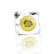 Kiwi im Eisblock