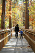 Photo: Young Mother and Child Walking Young Mother and Child Walking