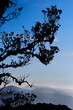 Mountain Scenery