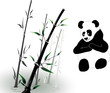 vector bamboo and panda