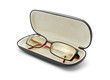 glasses in case