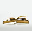 Opened book
