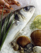 Bar, crevettes et coquillages Bar, crevettes et coquillages