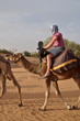 sahara