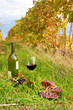 Glass of red wine  in Lavaux region, Switzerland