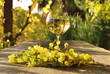 Glass of white wine. Lavaux region, Switzerland