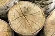 stacked logs 1