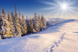 winter