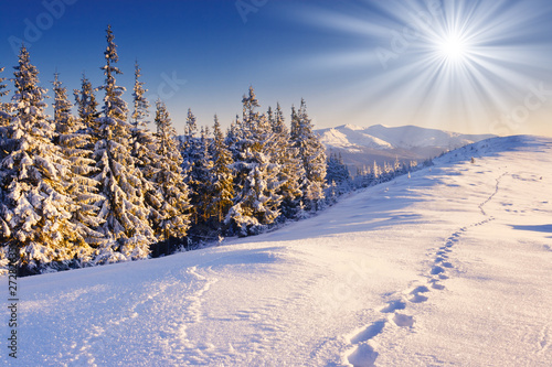 Photo: winter winter