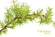 spruce branch with Christmas ball in the form of heart spruce branch with Christmas ball in the form of heart