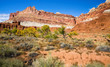 Capitol Reef National Park Mesa and Trees