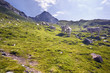 Pirineos