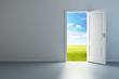 white empty room with opened door white empty room with opened door