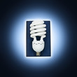 Lightbulb book