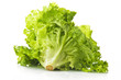 Insalata Riccia