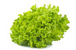 Insalata Riccia