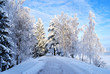 Park Kruununpuisto. Imatra, Finland Park Kruununpuisto. Imatra, Finland