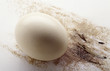 Ostrich egg