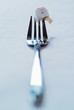 snail on fork