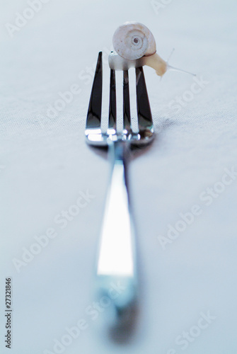 Photo: snail on fork snail on fork