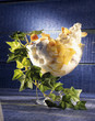 Peach melba