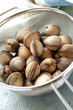 cockles