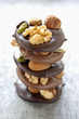 plain and milk chocolate fruit and nut bites 