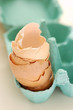 egg shells 