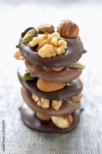 Foto: plain and milk chocolate fruit and nut bites plain and milk chocolate fruit and nut bites