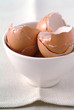 egg shells in bowl