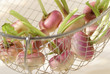 baby turnips in steam basket