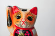 welcome cat-28