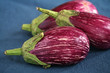 Purple streaked eggplants