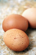 Fresh eggs