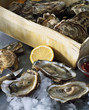 Case of oysters