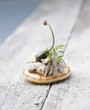 Mini blini with potted mackerel  and capers