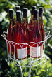 Jardiniére filled with bottles of rosé