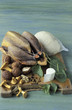Ingredients for guinea-fowl recipe