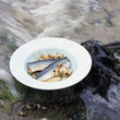 Mackerels with confit garlic