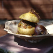 Stuffed onion